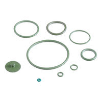 Air Boy Seal Kit | Viton PP
