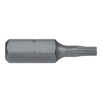Apex Torx Plus Tamperproof Bit | 10IPR