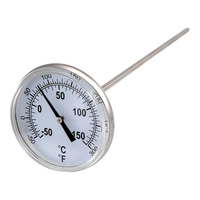 Automotive Thermometer