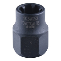 Female Ribe Socket | M10S