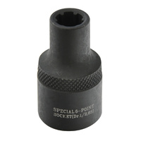 Female Ribe Socket | M6