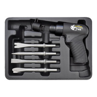 Black Snake Air Hammer Kit